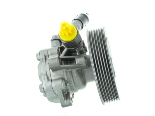 GKNY10156 GKN-SPIDAN - Насос гідропідсилювача керма