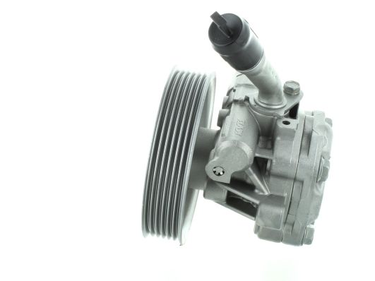 GKNY10156 GKN-SPIDAN - Насос гідропідсилювача керма