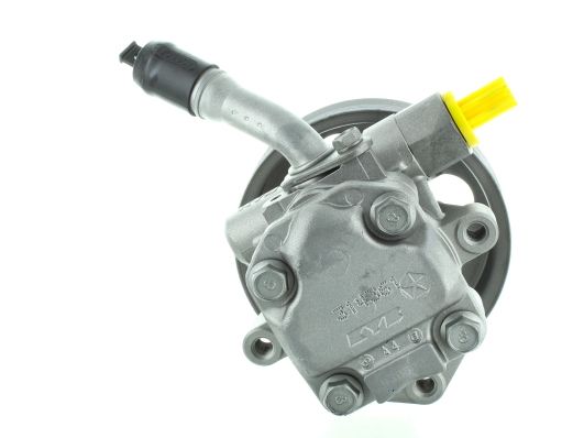 GKNY10156 GKN-SPIDAN - Насос гідропідсилювача керма