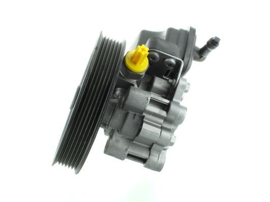 GKNY10157 GKN-SPIDAN - Насос гідропідсилювача керма