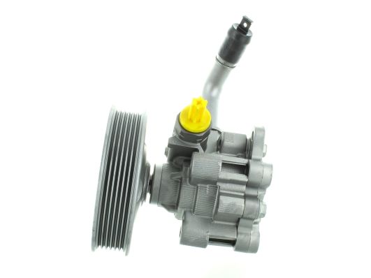 GKNY10158 GKN-SPIDAN - Насос гідропідсилювача керма
