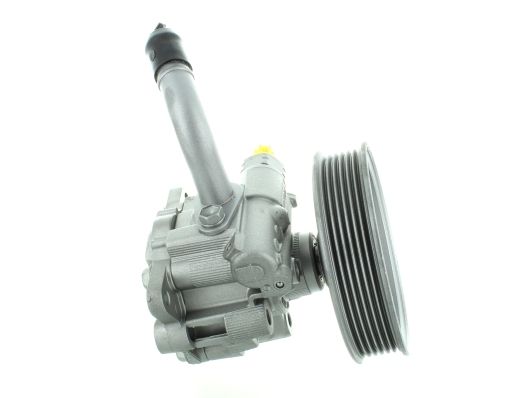 GKNY10158 GKN-SPIDAN - Насос гідропідсилювача керма
