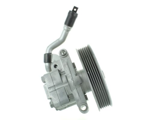 GKNY10160 GKN-SPIDAN - Насос гідропідсилювача керма