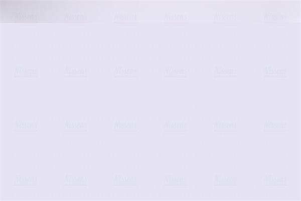 Nissens 85691 Вентилятор охолодження двигуна