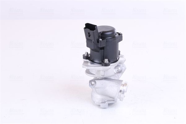 Nissens 98188 Клапан системи рециркуляції ВГ