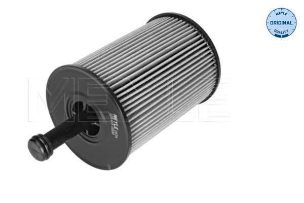 Meyle 1001150000 Фільтр масляний VW T5/Caddy III 03-