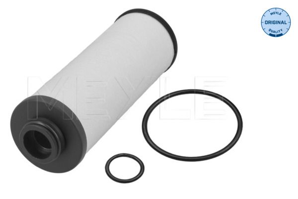 Meyle 1001360005 Фільтр АКПП Audi A4/A5/A6/A7/Q5 2.0-3.0 TDI/TFSI 09-18 (DSG 0B5, DL501)