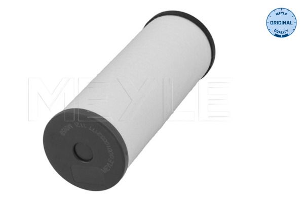 Meyle 1001360005 Фільтр АКПП Audi A4/A5/A6/A7/Q5 2.0-3.0 TDI/TFSI 09-18 (DSG 0B5, DL501)