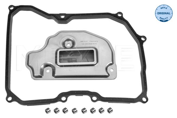 Meyle 1001370004 Фільтр АКПП VW Golf V/VI/ Passat 1.6-2.0 FSI 03-12 (з прокладкою)