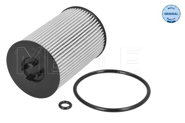 Meyle 1003220019 Фільтр масляний VW Passat/Caddy IV/Crafter/T6 1.6/2.0TDI 14-