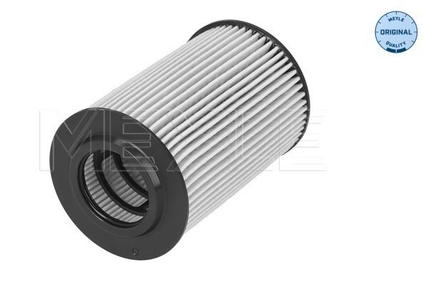 Meyle 1003220019 Фільтр масляний VW Passat/Caddy IV/Crafter/T6 1.6/2.0TDI 14-
