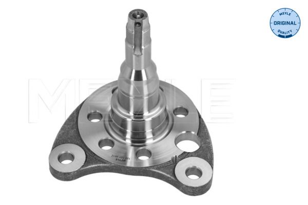 Meyle 1005010012 Кулак поворотний (цапфа) VW Passat 84-97 (L) (задній)