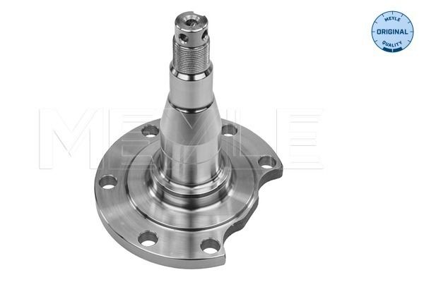 Meyle 1005010031 Маточина (задня) Audi A4/A6 94-01