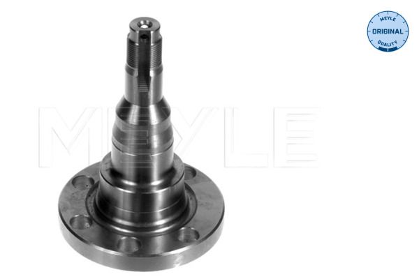 Meyle 1005011010 Кулак поворотний (цапфа) VW Passat 73-99 (задній)