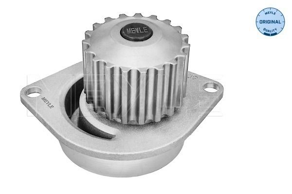 Meyle 11130120102 Помпа води Citroen Berlingo/C2/C3/C4/Peugeot 106/206/207/307/308/Partner 1.6 96- (