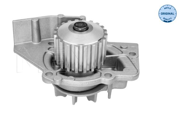 Meyle 11132200001 Помпа води Citroen C4/C5/C8/Jumpy/Jumper/Berlingo 2.0HDi/Fiat Scudo/Ducato 1.9D/2.