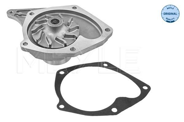Meyle 16132200003 Помпа води Renault Kangoo 1.5dCi
