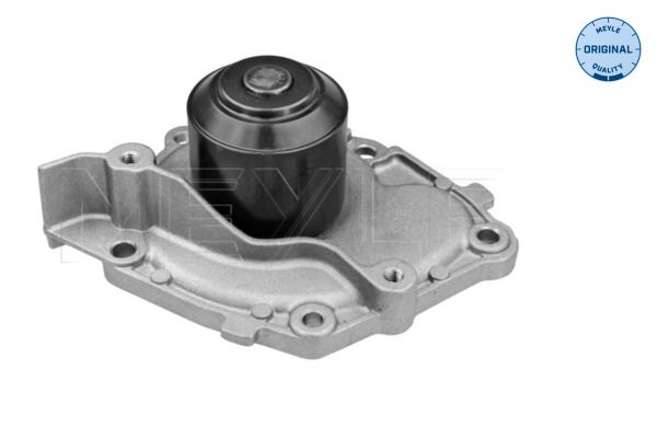 Meyle 16132200011 Помпа води Renault Megane/Laguna/Scenic/Nissan 1.9dCi/Suzuki Grand Vitara 1.9DDiS