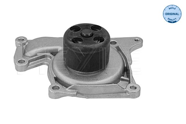 Meyle 16132200023 Помпа води Renault Kangoo 1.5dCi 10-