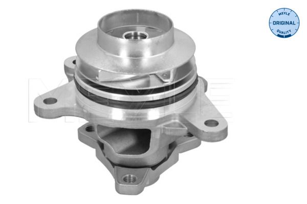 Meyle 16132200028 Помпа води Renault Trafic/Scenic/Megane/Opel Vivaro/Nissan Qashqai/X-Trail/MB Vito