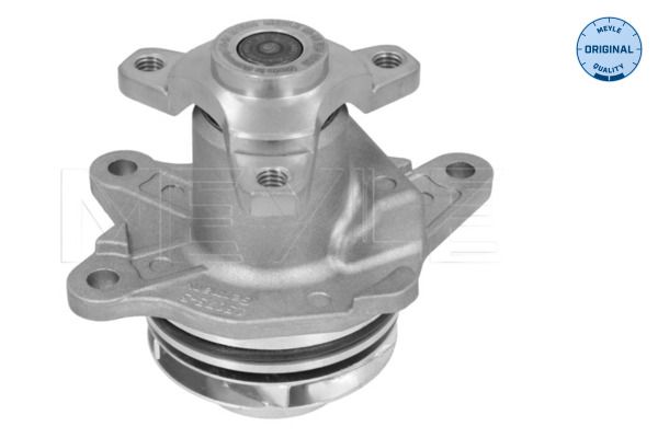Meyle 16132200028 Помпа води Renault Trafic/Scenic/Megane/Opel Vivaro/Nissan Qashqai/X-Trail/MB Vito
