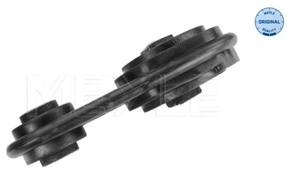 Meyle 16140300031 Подушка двигуна (нижня) Renault Megane II/Scenic II 1.9dCi 02- (косточка)