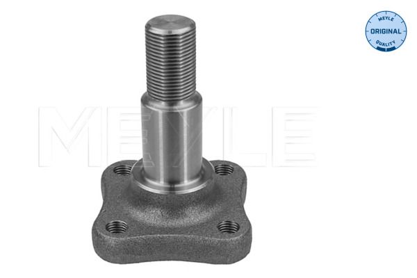 Meyle 16145010000 Цапфа осі, балка осі