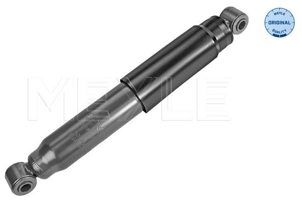 Meyle 2267250013 Амортизатор (задній) Citroen Jumper/Fiat Ducato/Peugeot Boxer 2.2HDi/3.0HDi 06- (44
