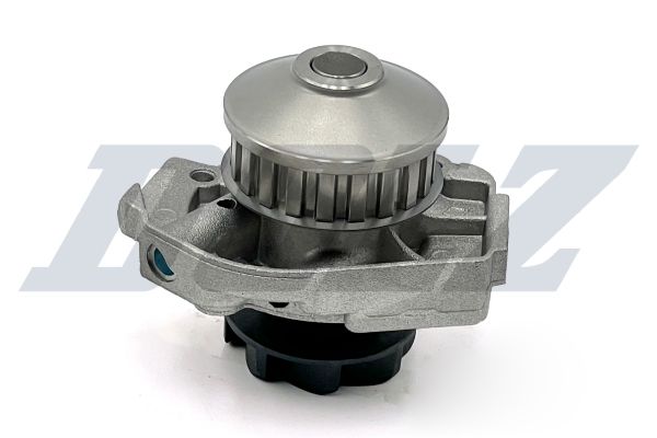S161 DOLZ Насос охолоджуючої рідини