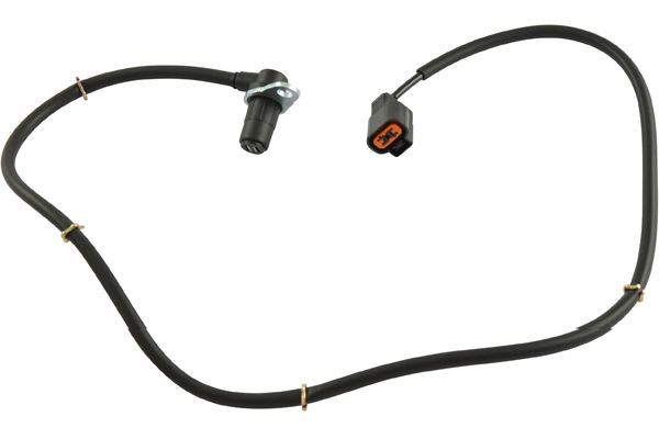 KAVO PARTS BAS5562 Датчик, кількість обертів колеса