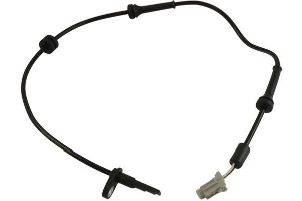 KAVO PARTS BAS6513 Датчик, кількість обертів колеса