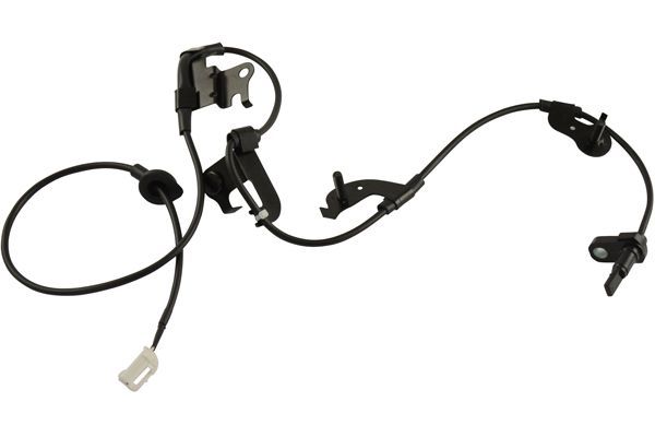KAVO PARTS BAS9042 Датчик, кількість обертів колеса