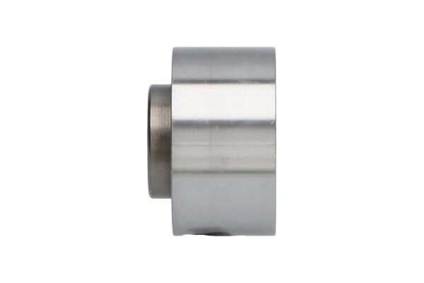 KAVO PARTS DID4503 Відвідний/напрямний ролик, зубчастий ремінь