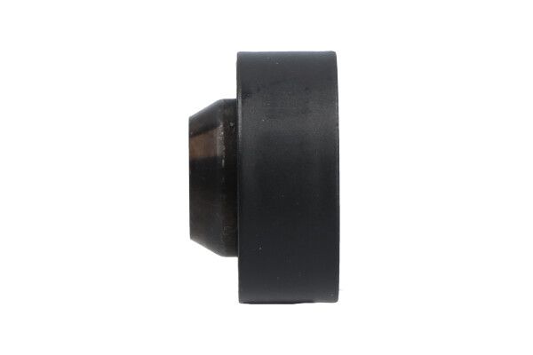 KAVO PARTS DID5509 Відвідний/напрямний ролик, зубчастий ремінь