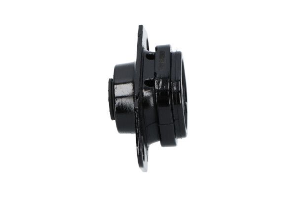 KAVO PARTS EEM6595 Опора, двигун