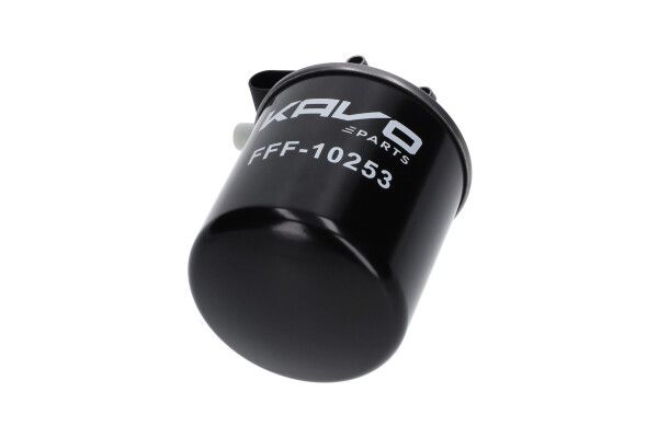 KAVO PARTS FFF10253 Фільтр палива