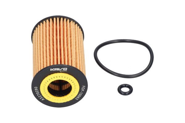 KAVO PARTS FOF10063 Оливний фільтр