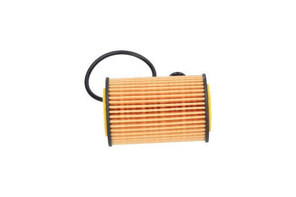 KAVO PARTS FOF10063 Оливний фільтр