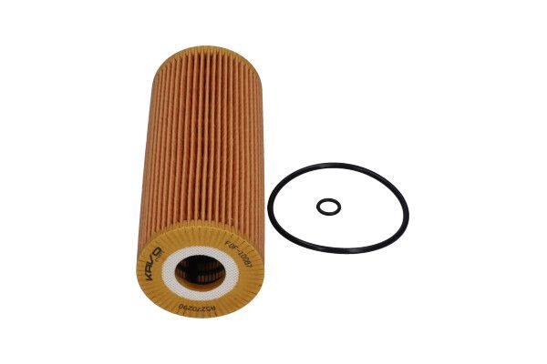 KAVO PARTS FOF10087 Оливний фільтр