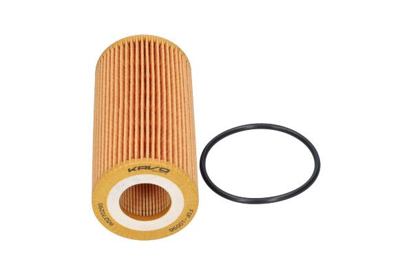 KAVO PARTS FOF10098 Фільтр масляний Audi A4/A5/A6/Q7/VW Amarok/Toureg 3.0TDI 14-