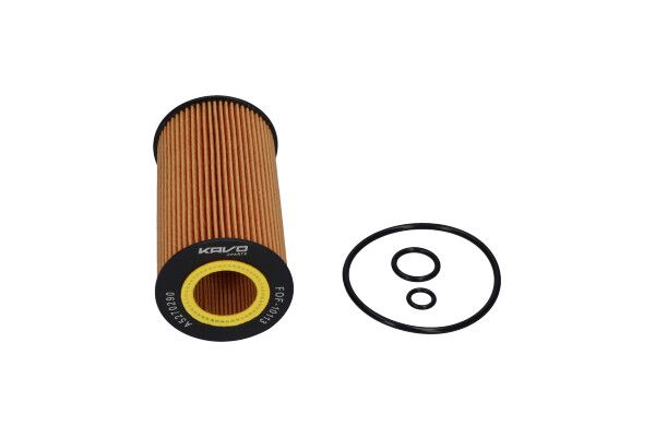 KAVO PARTS FOF10113 Оливний фільтр