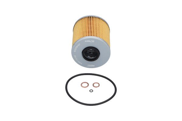 KAVO PARTS FOF10146 Оливний фільтр