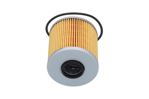 KAVO PARTS FOF10146 Оливний фільтр