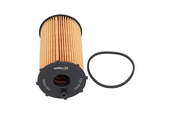 KAVO PARTS FOF10153 Оливний фільтр