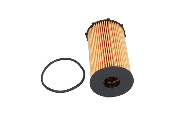 KAVO PARTS FOF10153 Оливний фільтр