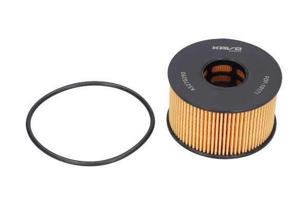 KAVO PARTS FOF10171 Оливний фільтр