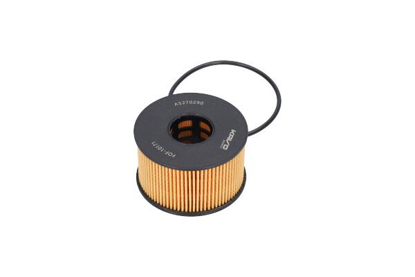 KAVO PARTS FOF10171 Оливний фільтр