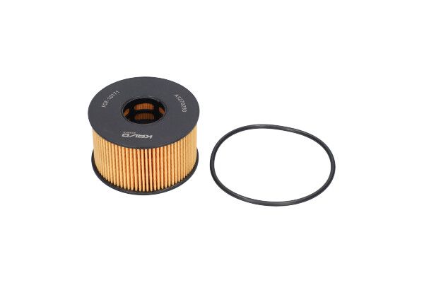 KAVO PARTS FOF10171 Оливний фільтр