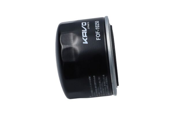 KAVO PARTS FOF10250 Оливний фільтр