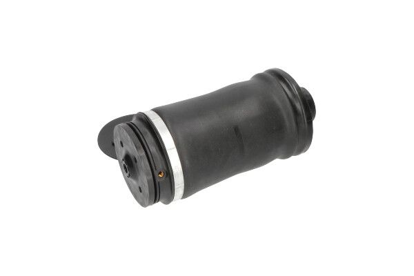 KAVO PARTS SAS10010 Пневморесора, ходова частина
